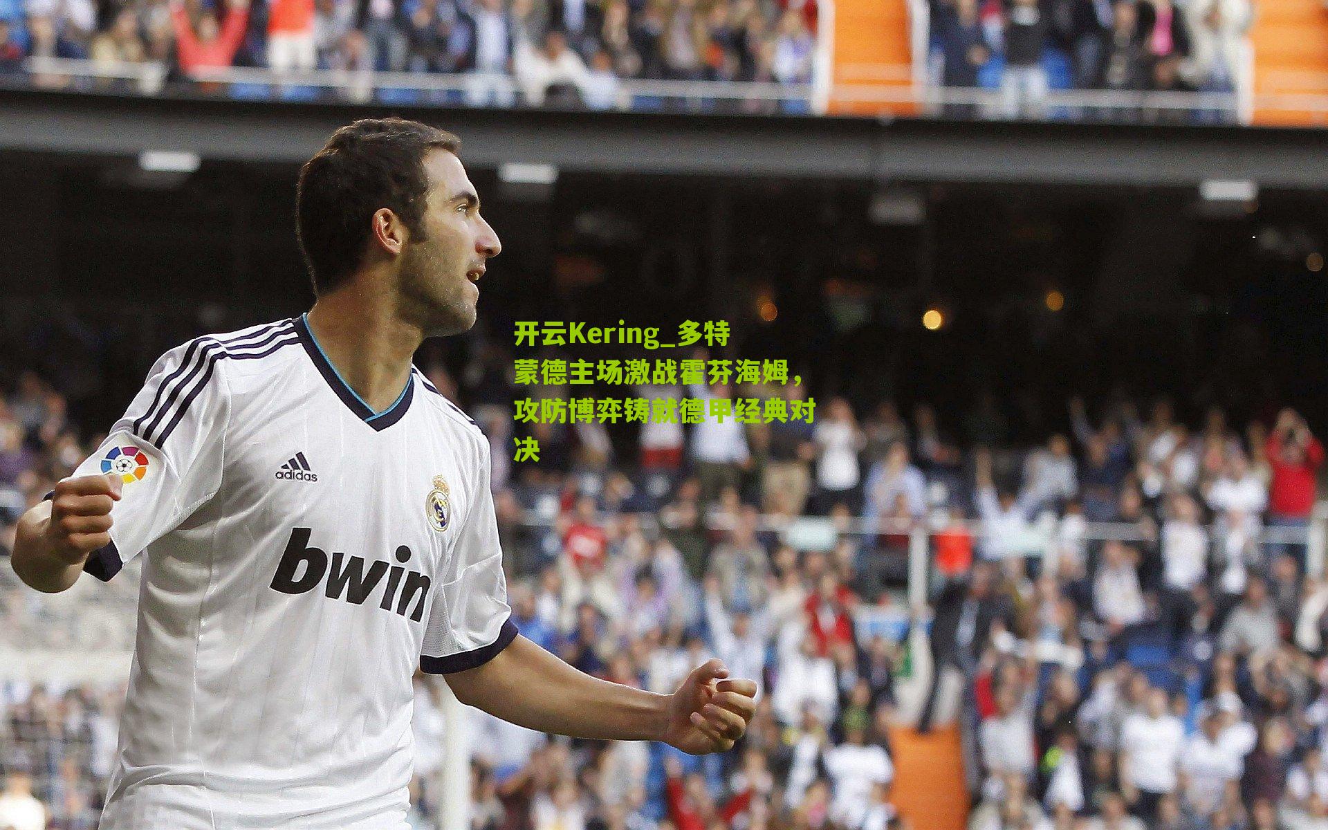 多特蒙德主场激战霍芬海姆,攻防博弈铸就德甲经典对决